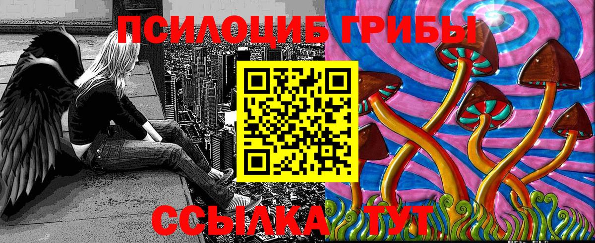 Галлюциногенные грибы мухоморы  Вход с VPN  Елизово  что такое наркотик  Галлюциногенные грибы Psilocybine cubensis 